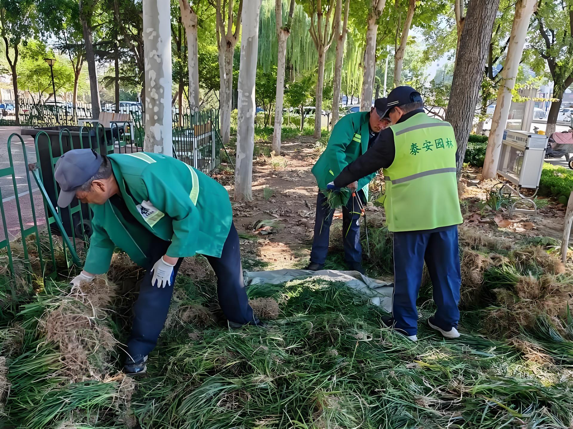 园林反光工作服的重要性：安全与专业双重保障
